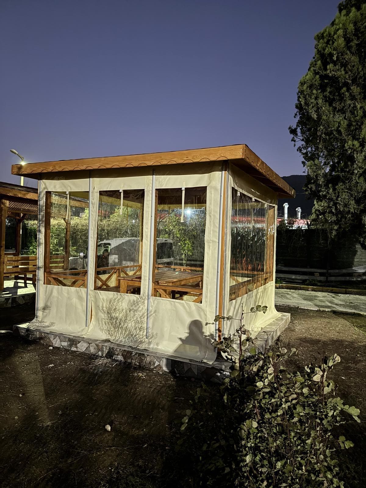 Camlı / Kapalı Kamelya — Kamelya